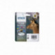 Pack Tinteiro Epson 3Cores T1306 Ciano, Magenta, Amarelo - C13T13064012
