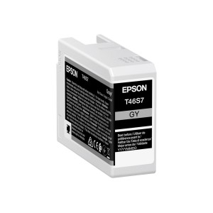 Tinteiro Original Epson T46S7 Gray C13T46S700