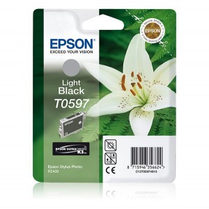 Tinteiro Epson Photo R2400 Cinzento - C13T05974010